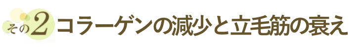 コラーゲンの減少と立毛筋の衰え