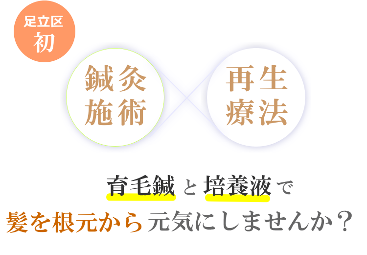 育毛張りとヒト幹細胞培養液で髪を根元から元気にしませんか？